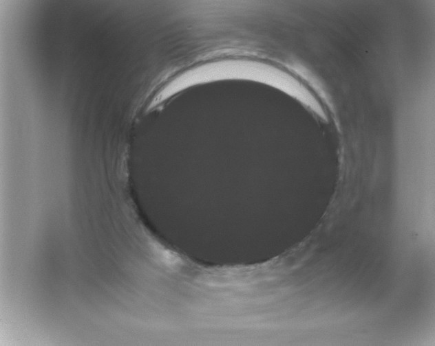 X0000066500009200604072253