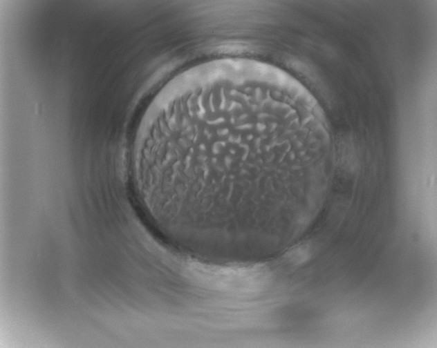 X0000066500016200604072252