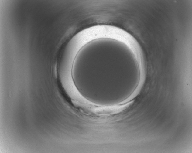 X0000066500019200604072252