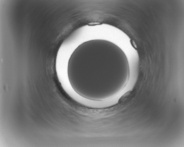 X0000066500023200604072252