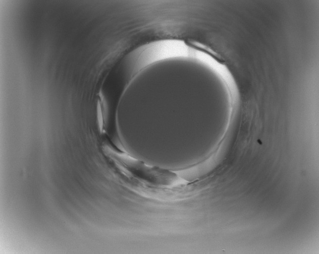 X0000066500027200604072252