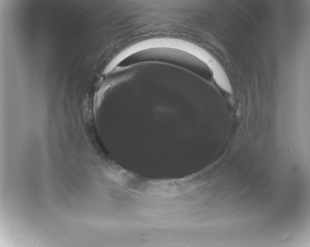 X0000066500029200604072252