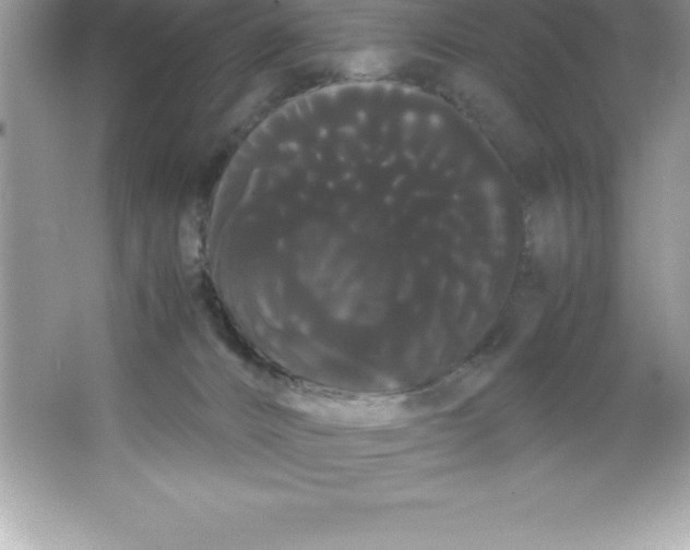 X0000066500032200604072252