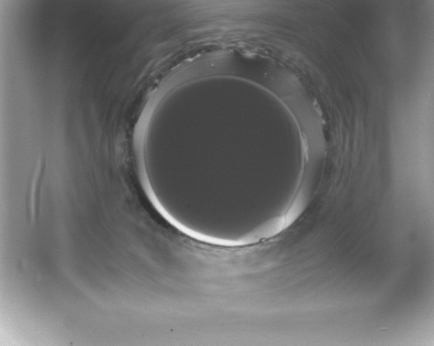 X0000066500035200604072252
