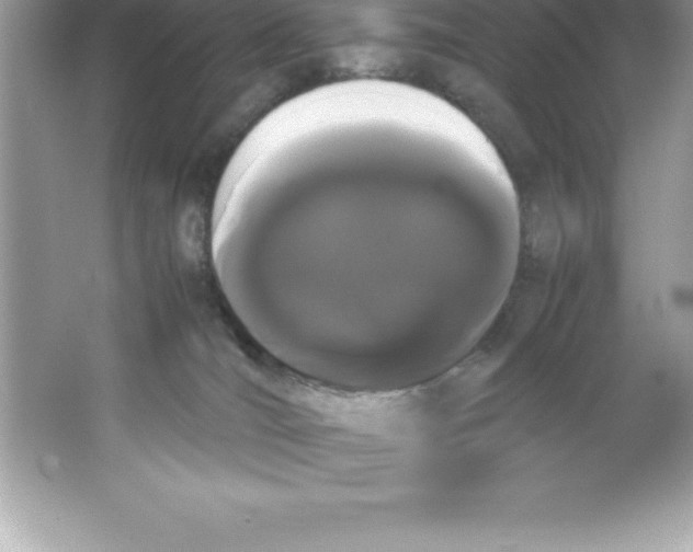 X0000066500036200604072252