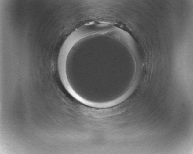 X0000066500039200604072252