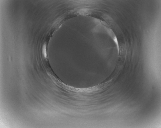 X0000066500046200604072252