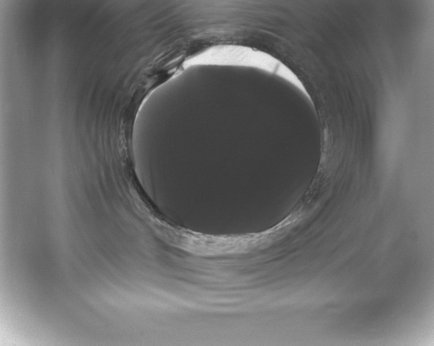 X0000066500048200604072252