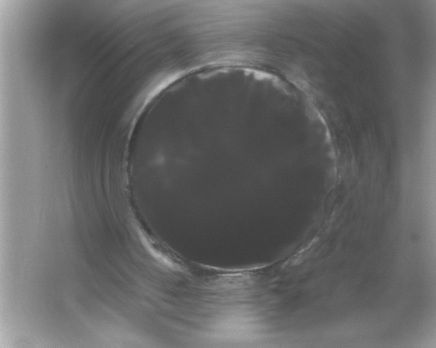 X0000066500050200604072251