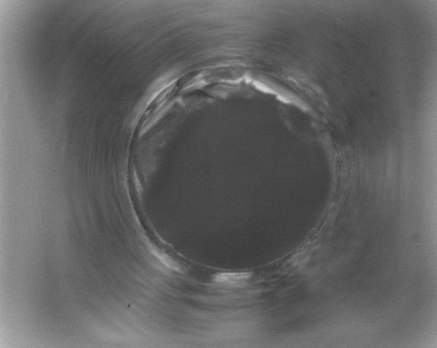 X0000066500051200604072251