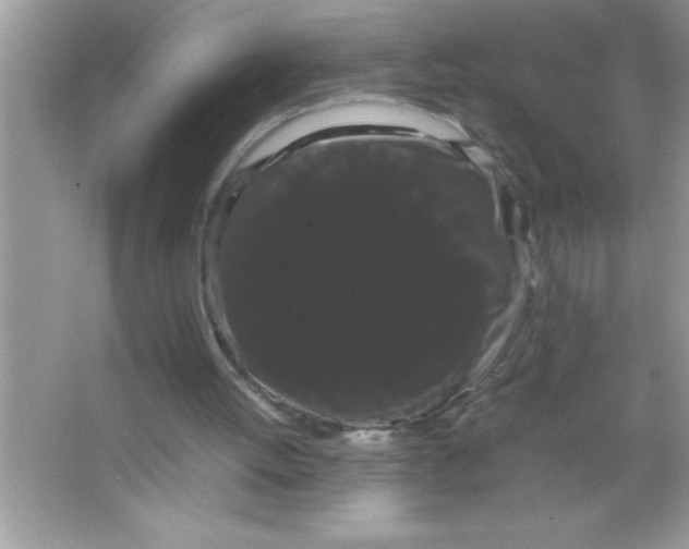 X0000066500052200604072251