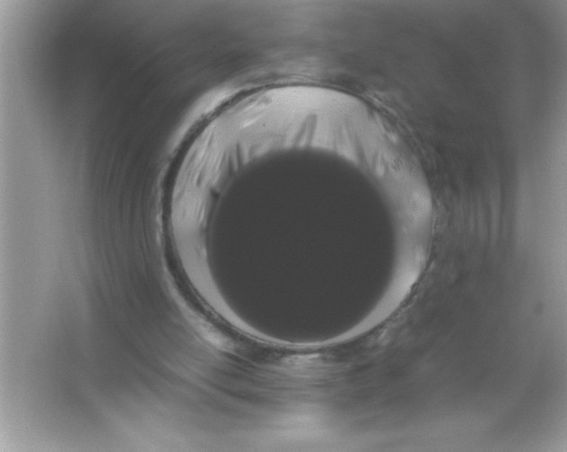 X0000066500054200604072251