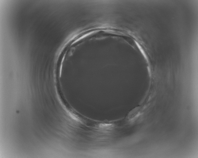 X0000066500055200604072251