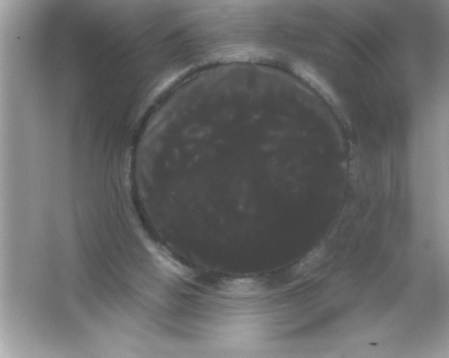X0000066500058200604072251