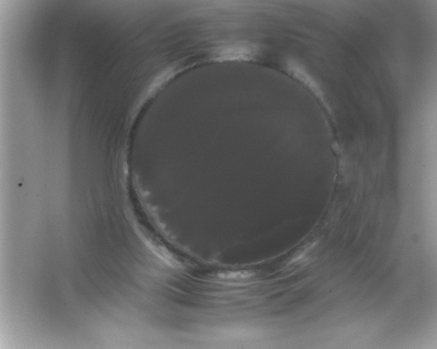 X0000066500059200604072251