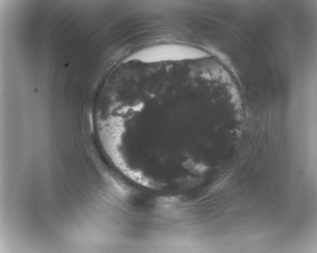 X0000066500061200604072251