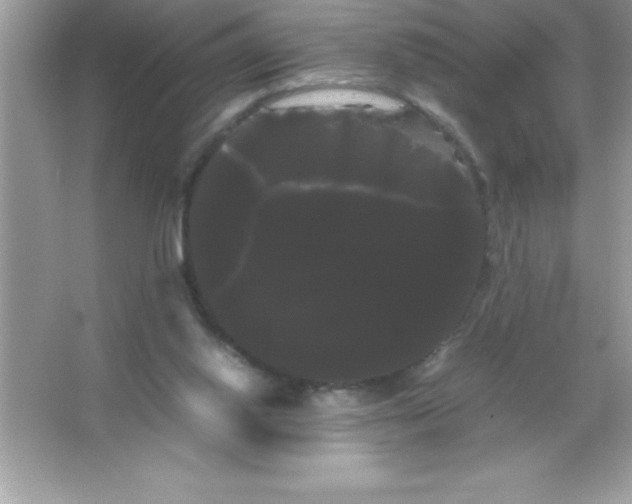 X0000066500062200604072251