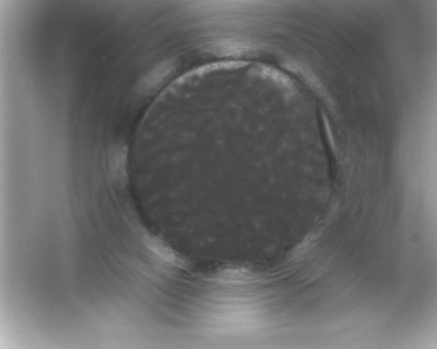 X0000066500066200604072251