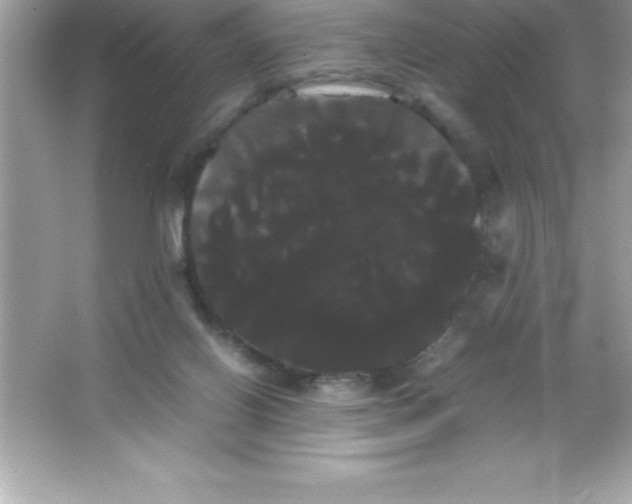 X0000066500070200604072251