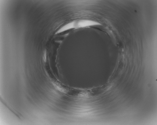 X0000066500076200604072252