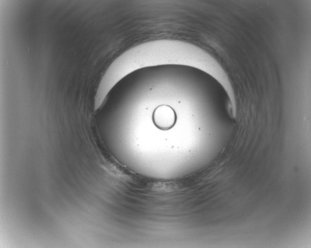 X0000066500077200604072252