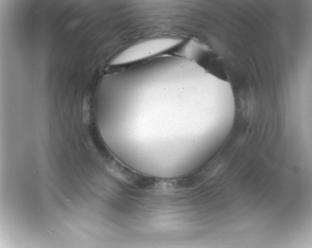 X0000066500080200604072252