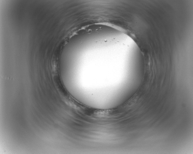 X0000066500084200604072252