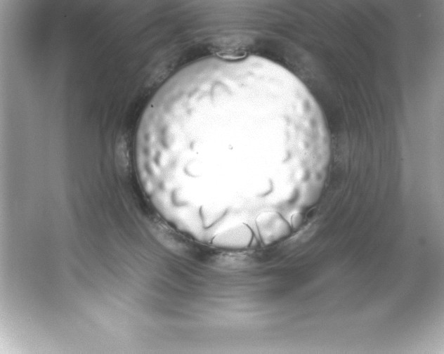 X0000066500086200604072252