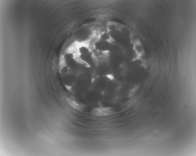 X0000066500093200604072252