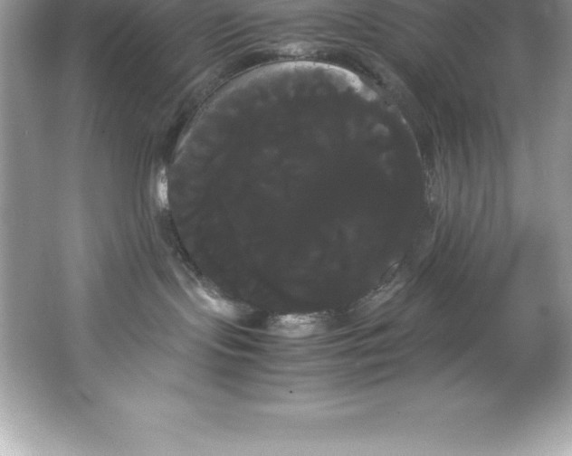 X0000066500095200604072252