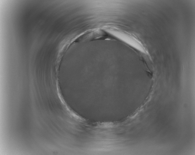X0000066500097200604072251
