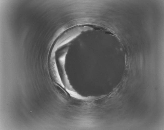 X0000066500099200604072251