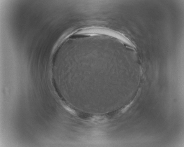 X0000066500101200604072251