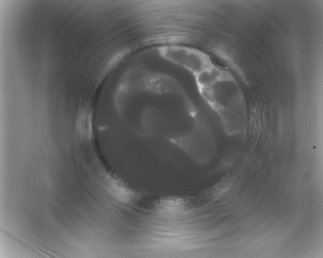 X0000066500110200604072251