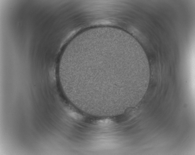 X0000066500112200604072251
