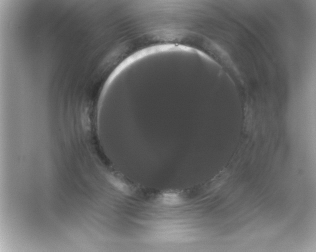 X0000066500114200604072251