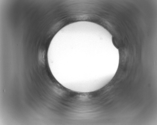 X0000066500118200604072251
