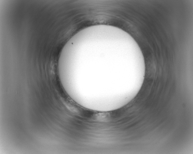 X0000066500126200604072251