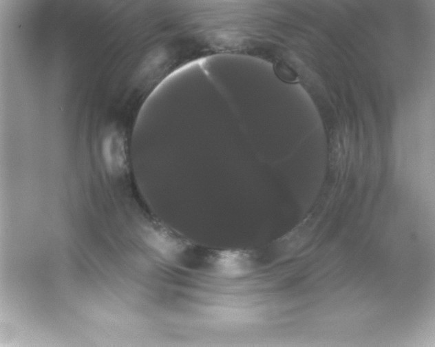 X0000066500130200604072251
