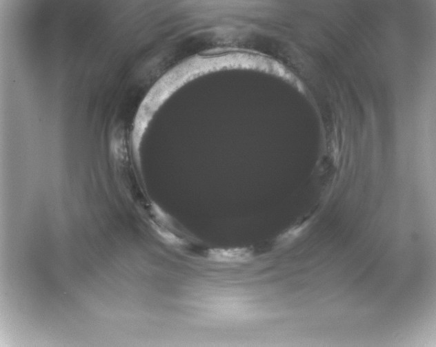 X0000066500137200604072250