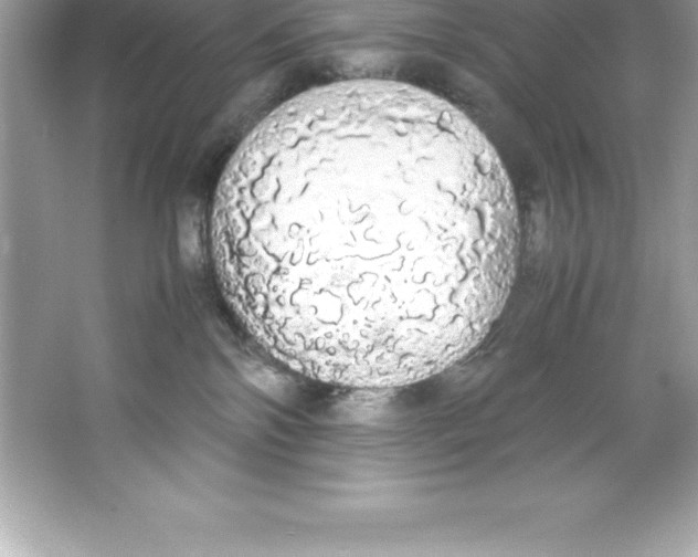 X0000066500138200604072250