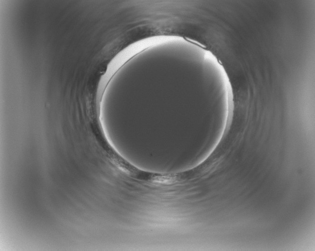 X0000066500139200604072250
