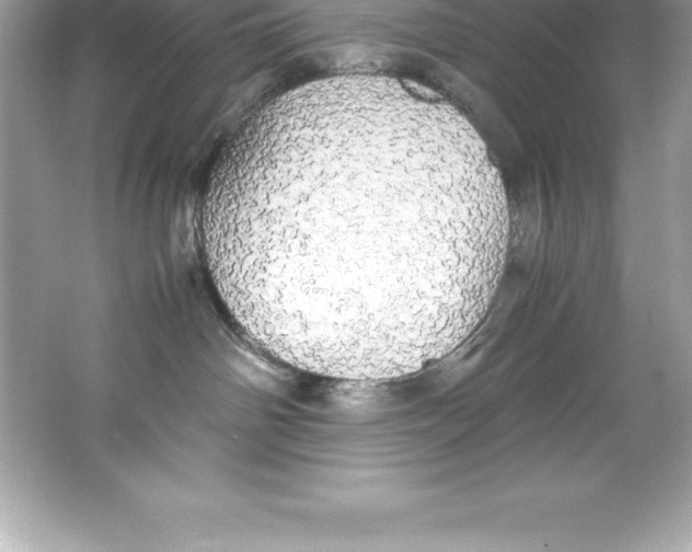X0000066500142200604072250