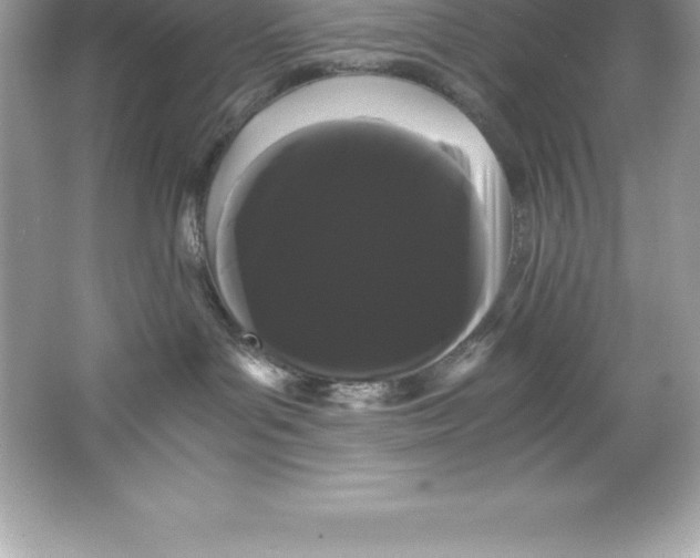 X0000066500143200604072250