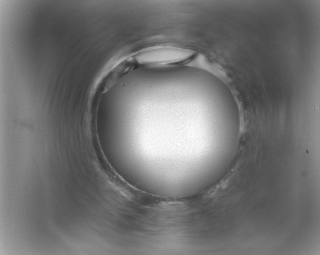 X0000066500150200604072250