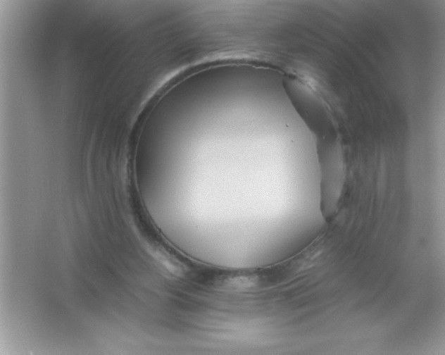 X0000066500156200604072250