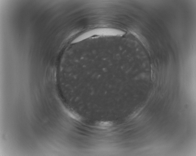 X0000066500157200604072250