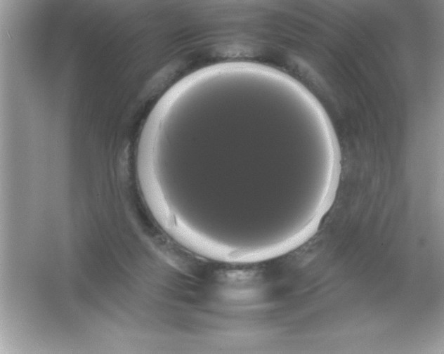 X0000066500163200604072250