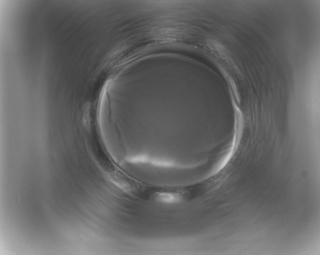 X0000066500167200604072250