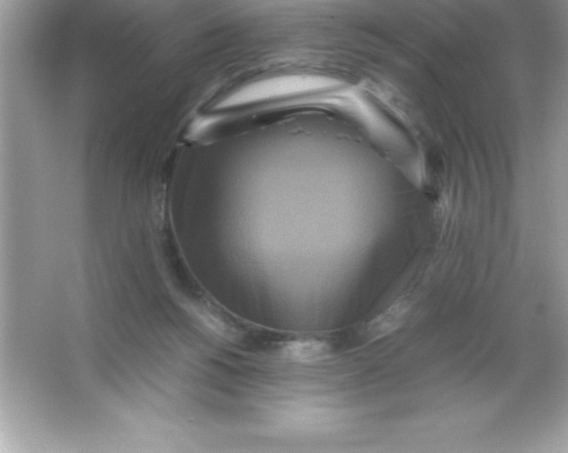 X0000066500168200604072250